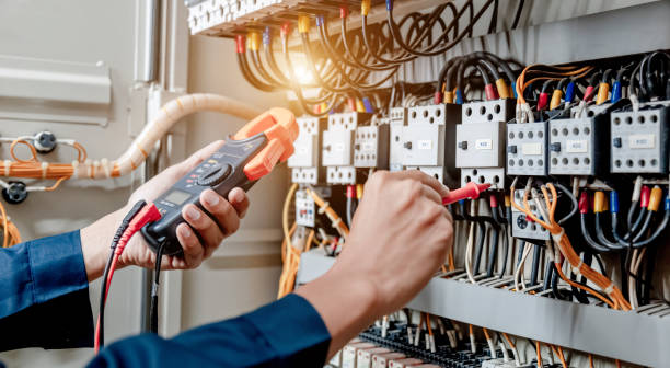 Best Electrical System Inspection  in Rio Grande City, TX