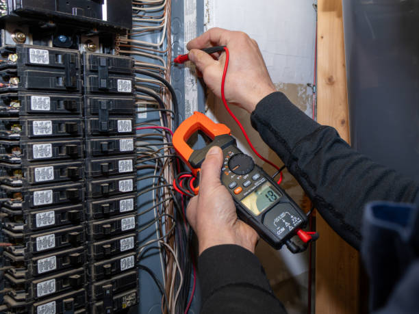 Best Electrician for Home Renovation  in Rio Grande City, TX