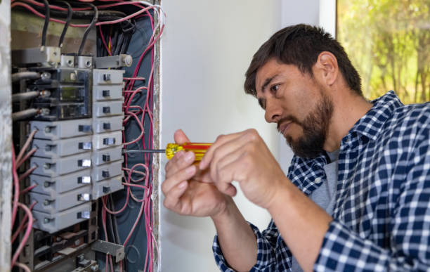Best Affordable Electrician  in Rio Grande City, TX